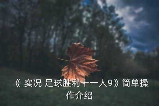 《 實(shí)況 足球勝利十一人9》簡(jiǎn)單操作介紹
