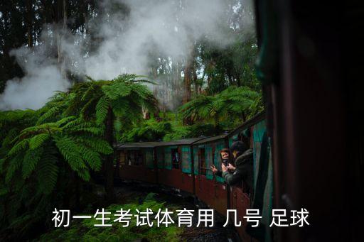 中考足球用球是幾號球,足球中考視頻教程