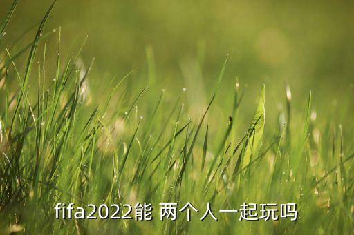 fifa2022能 兩個(gè)人一起玩嗎