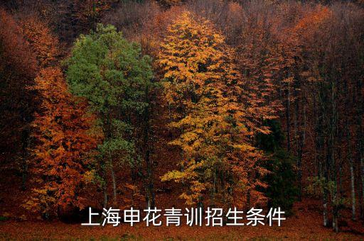  上海申花青訓招生條件