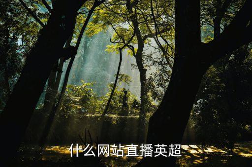 什么網(wǎng)站直播英超