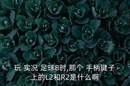 玩 實(shí)況 足球8時(shí),那個(gè) 手柄鍵子上的L2和R2是什么啊