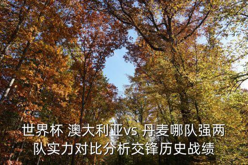 丹麥和澳大利亞足球
