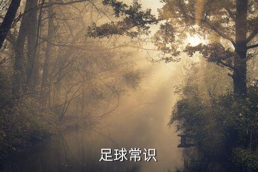 足球場(chǎng)是來(lái)踢球的嗎,沒(méi)有足球場(chǎng)怎么踢球