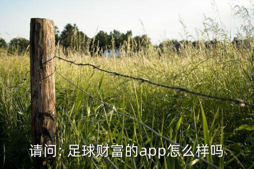 請問: 足球財(cái)富的app怎么樣嗎