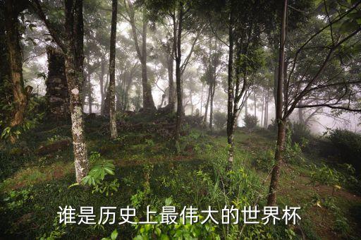 足球最偉大裁判,足球裁判規(guī)則及手勢