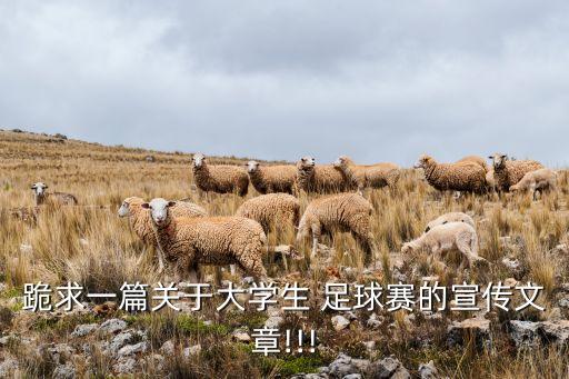 跪求一篇關(guān)于大學(xué)生 足球賽的宣傳文章!!!