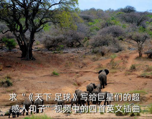 求“《天下 足球》寫給巨星們的超 感人句子”視頻中的四首英文插曲