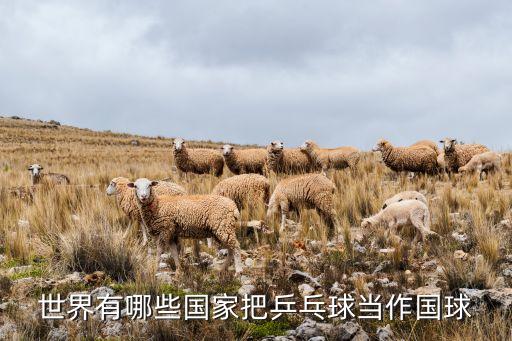 世界有哪些國(guó)家把乒乓球當(dāng)作國(guó)球