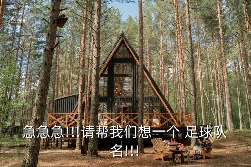急急急!!!請幫我們想一個 足球隊名!!!