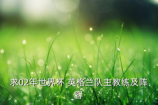 求02年世界杯 英格蘭隊(duì)主教練及陣容