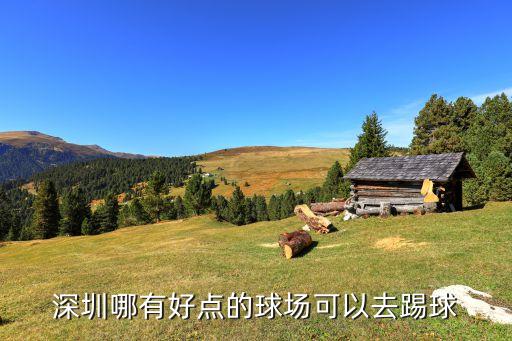 最便宜的足球場