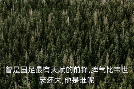 高峰 足球,高峰足球俱樂部狀況