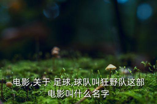 瘋狂足球價(jià)格,瘋狂的足球2020