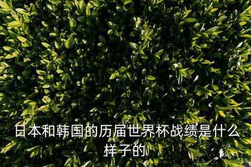  日本和韓國(guó)的歷屆世界杯戰(zhàn)績(jī)是什么樣子的