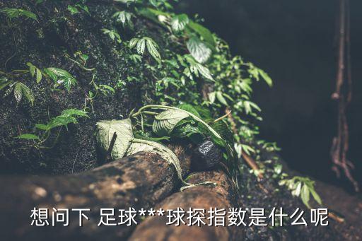 想問(wèn)下 足球***球探指數(shù)是什么呢