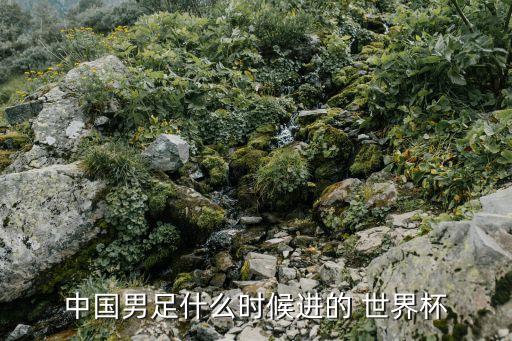 中國男足什么時(shí)候進(jìn)的 世界杯