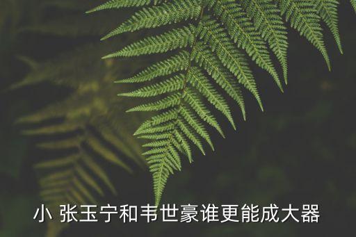 足球隊員小張玉寧,遼寧足球張玉寧現(xiàn)狀