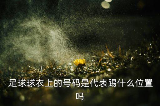  足球球衣上的號(hào)碼是代表踢什么位置嗎