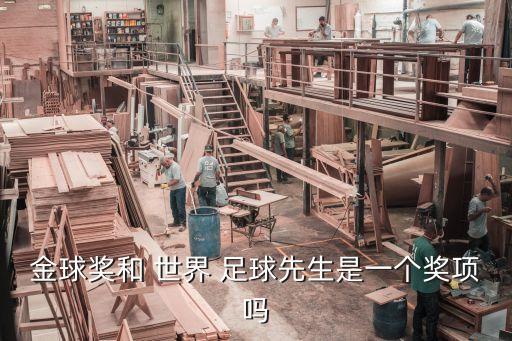 金球獎(jiǎng)和 世界 足球先生是一個(gè)獎(jiǎng)項(xiàng)嗎
