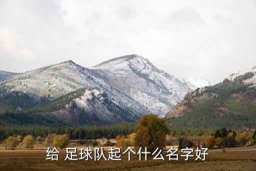 中國(guó)足球俱樂(lè)部隊(duì)名,足球俱樂(lè)部隊(duì)名大全霸氣