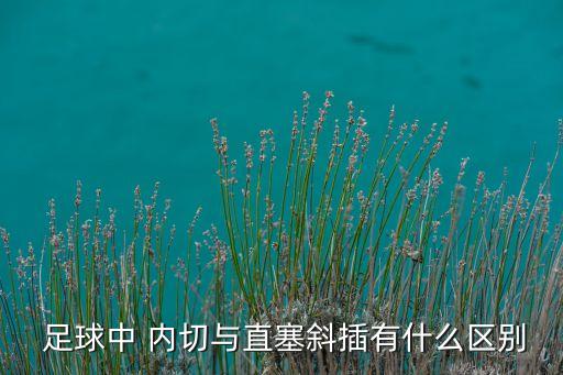 內(nèi)切足球視頻,內(nèi)切最強足球運動員