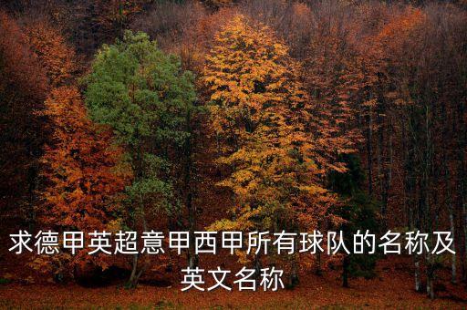 求德甲英超意甲西甲所有球隊的名稱及英文名稱
