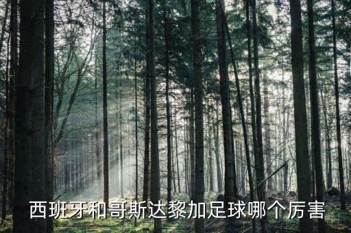  西班牙和哥斯達(dá)黎加足球哪個(gè)厲害