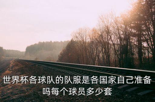 足球隊(duì)員球衣