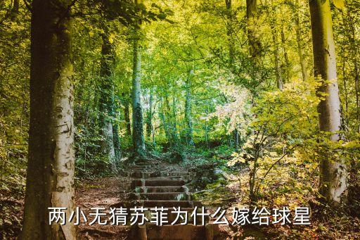 兩小無猜蘇菲為什么嫁給球星
