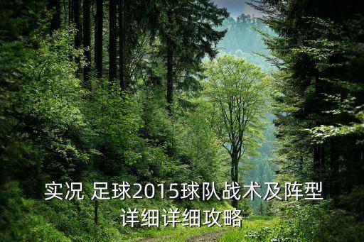  實(shí)況 足球2015球隊戰術(shù)及陣型詳細詳細攻略