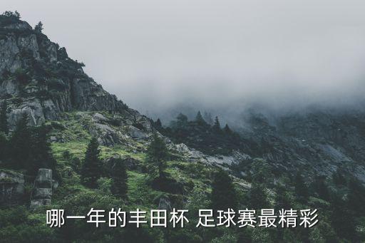 哪一年的豐田杯 足球賽最精彩