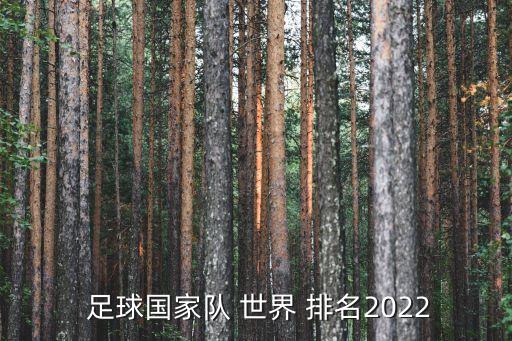  足球國家隊 世界 排名2022