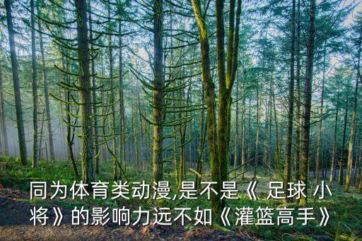 棒球英豪和足球小將,灌籃高手足球小將棒球英豪網(wǎng)球王子