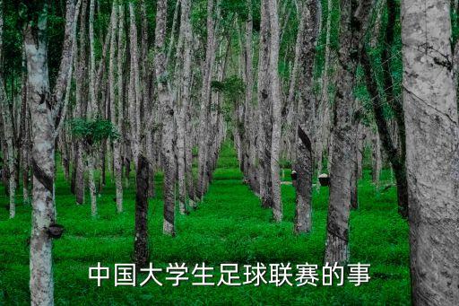 中國(guó)大學(xué)生足球聯(lián)賽的事