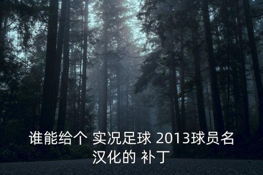 誰能給個 實況足球 2013球員名漢化的 補丁