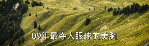 09年最奪人眼球的美胸