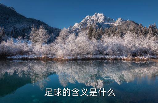  足球的含義是什么