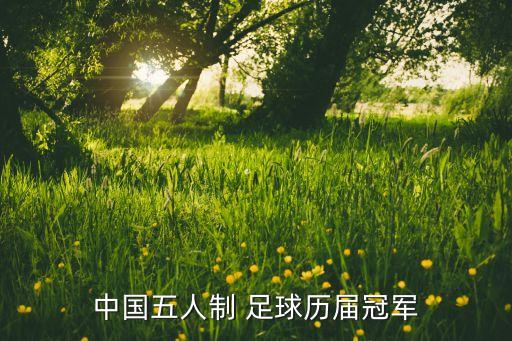 中國(guó)五人制 足球歷屆冠軍