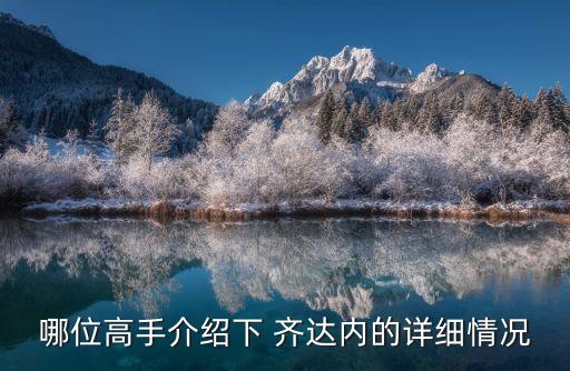 哪位高手介紹下 齊達內的詳細情況