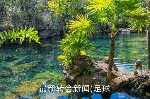最新轉(zhuǎn)會新聞(足球