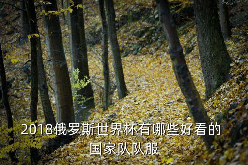 塞內(nèi)加爾國(guó)家隊(duì)足球球衣
