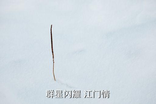 2016年江門足球嘉年華
