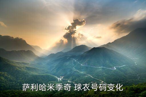 薩利哈米季奇 球衣號碼變化
