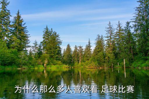 為什么那么多人喜歡看 足球比賽