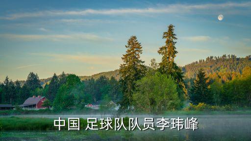 中國(guó) 足球隊(duì)隊(duì)員李瑋峰