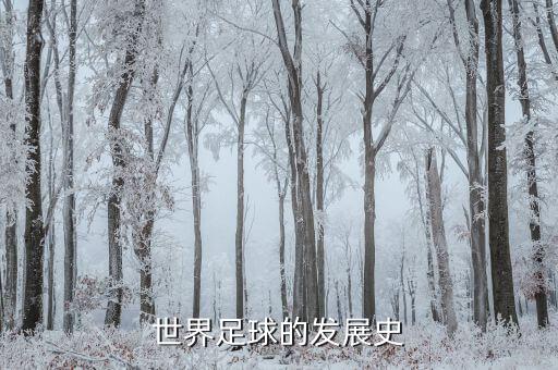 世界足球的發(fā)展史
