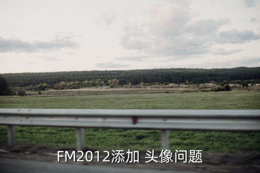 fm足球經理頭像包沒用,足球經理2022頭像包