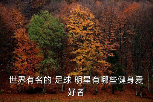 當(dāng)紅足球明星2017,葡萄牙足球明星