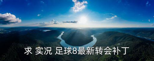 求 實(shí)況 足球8最新轉(zhuǎn)會(huì)補(bǔ)丁